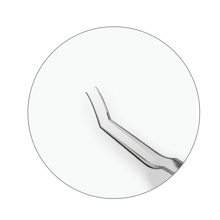 IF-3001 Stainless Steel Masket Capsulorhexis Forceps 